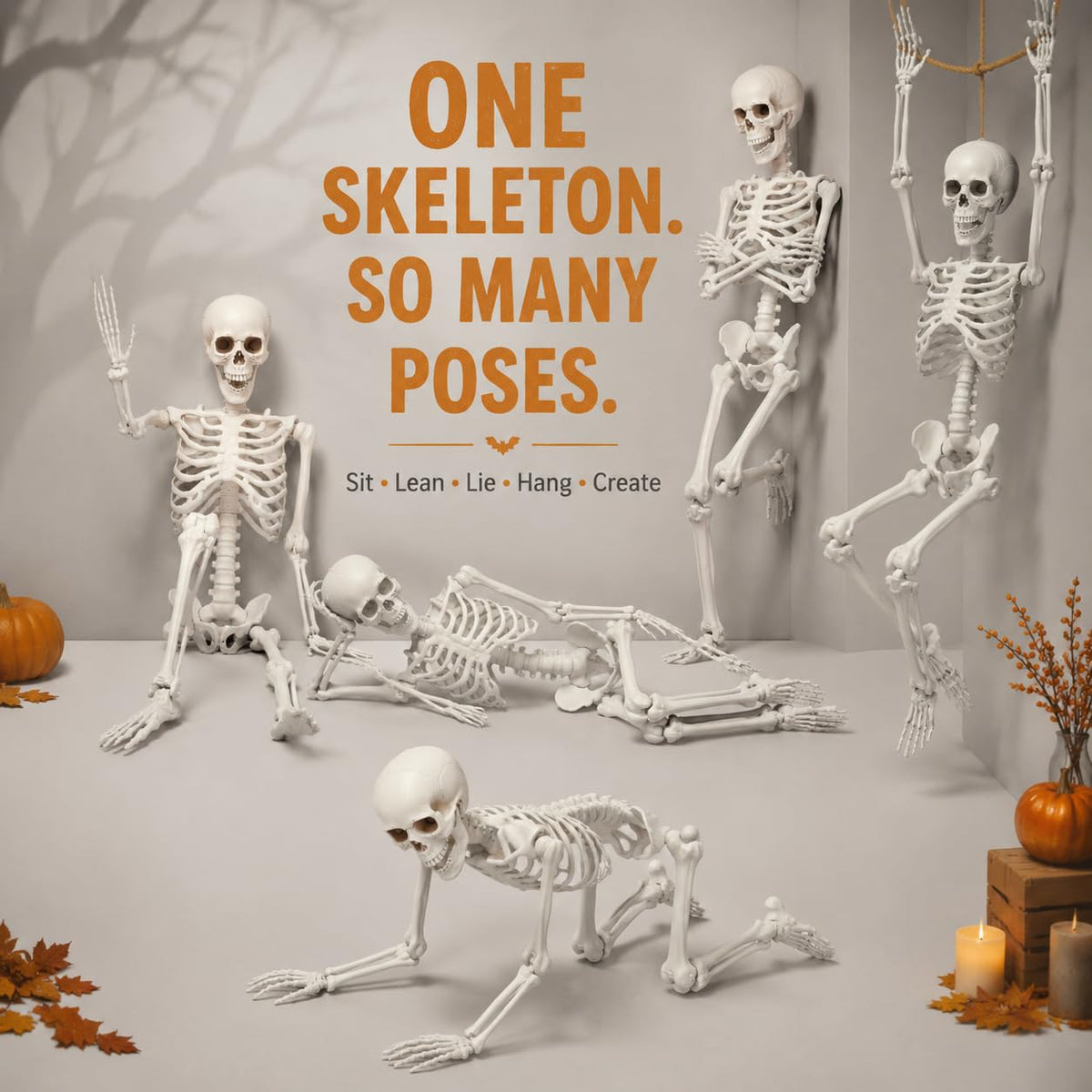 Life Size Posable Full Body Skeleton with Movable Joints and Hanging Loop B5337