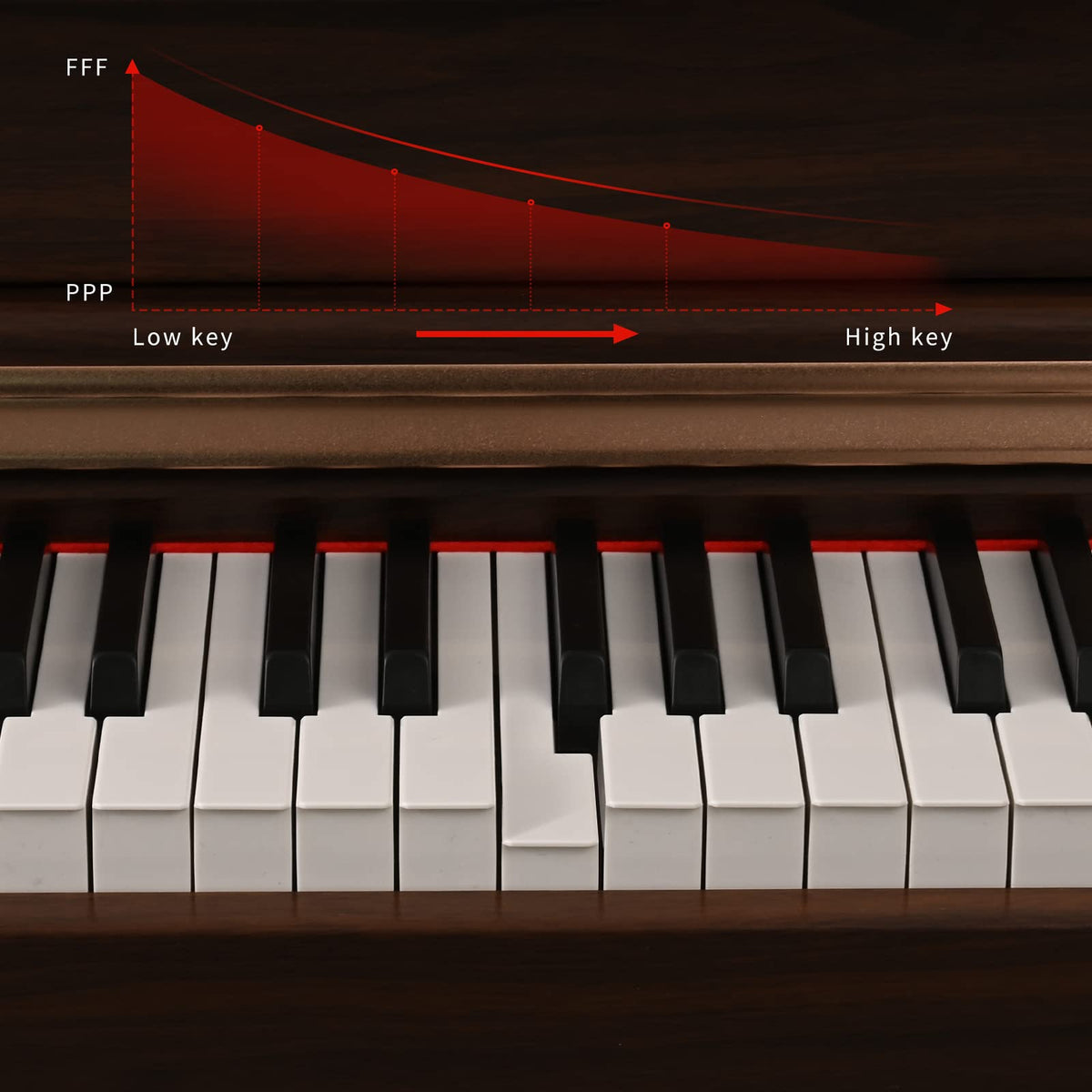 88 Key Full Weighted Digital Piano with Triple Pedal A273112
