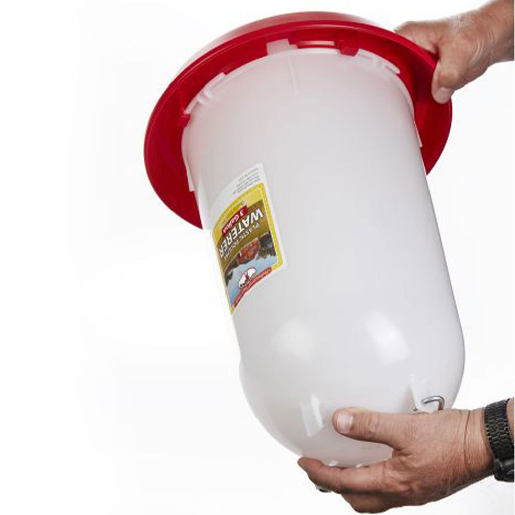 3 Gallon Plastic Gravity Fed Waterer 4-Pack K20408