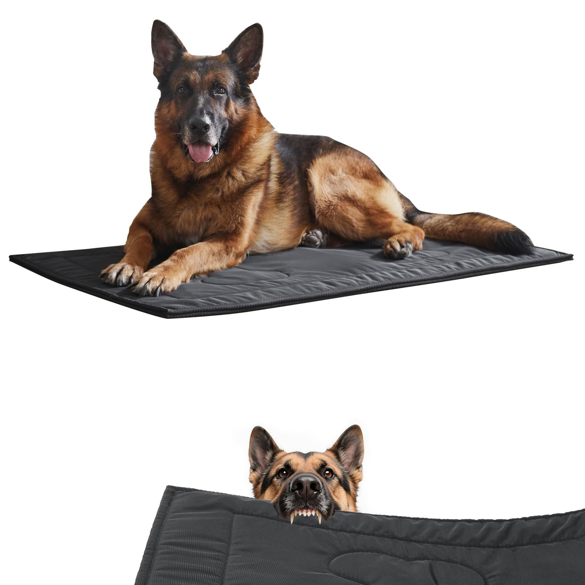 Chew Proof Dog Crate Pad Large 28"x41" N87860
