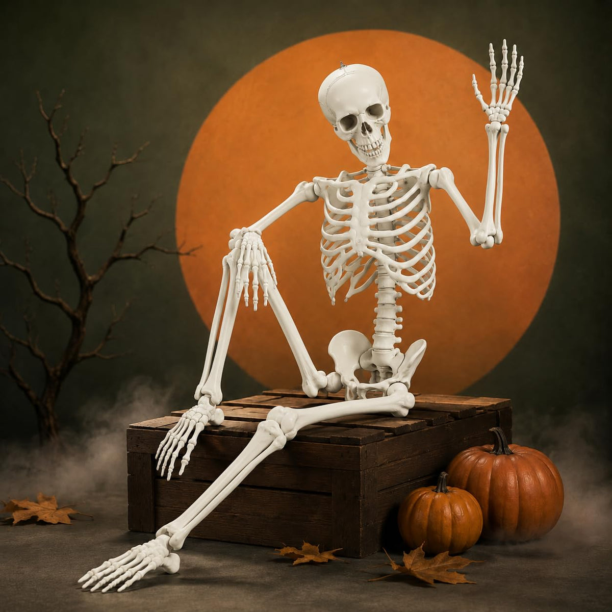 Life Size Posable Full Body Skeleton with Movable Joints and Hanging Loop B5337