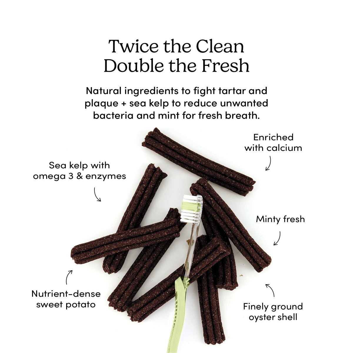 Double Fresh Dental Sticks 9.5oz Y75515