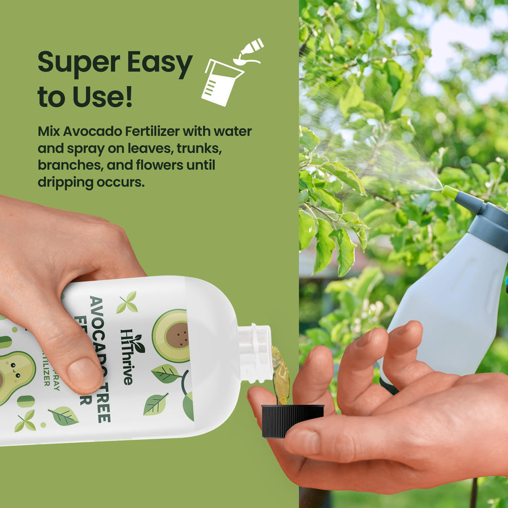Avocado Fruit Tree Fertilizer 16oz M639299