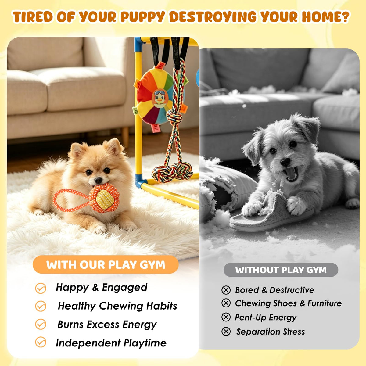 Puppy Play Gym with 14 Hanging Toys C781150
