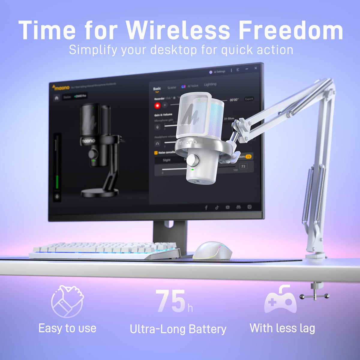 Wireless Condenser Microphone with Boom Arm A1264