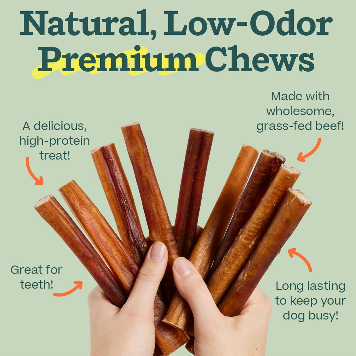 6 Inch 5 Count Dog Chew Treats T54938