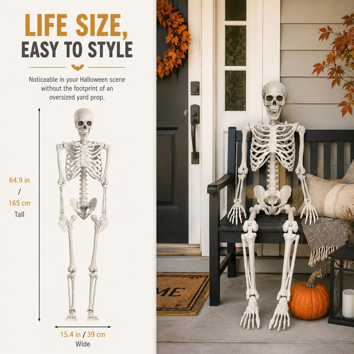 Life Size Posable Full Body Skeleton with Movable Joints and Hanging Loop B5337