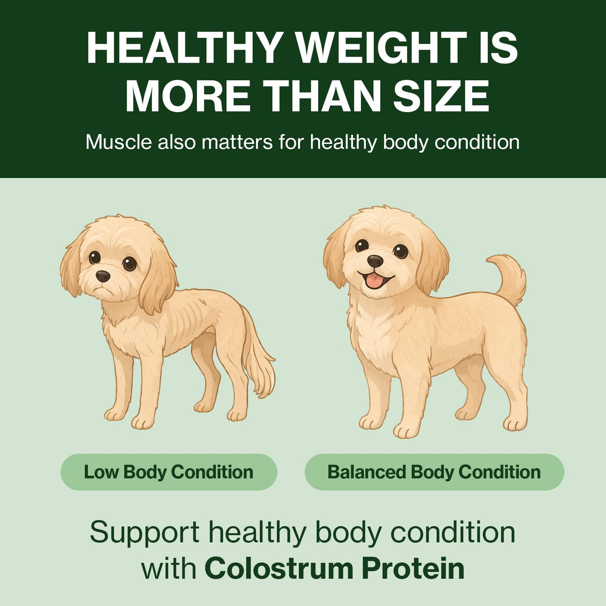 Colostrum Whey Protein Dog Supplement 30 Tubes O7920