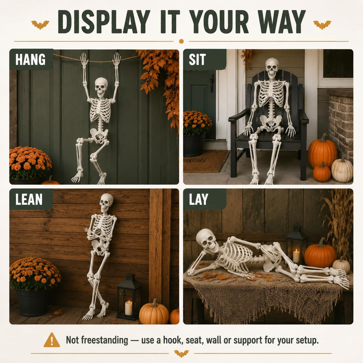 Life Size Posable Full Body Skeleton with Movable Joints and Hanging Loop B5337