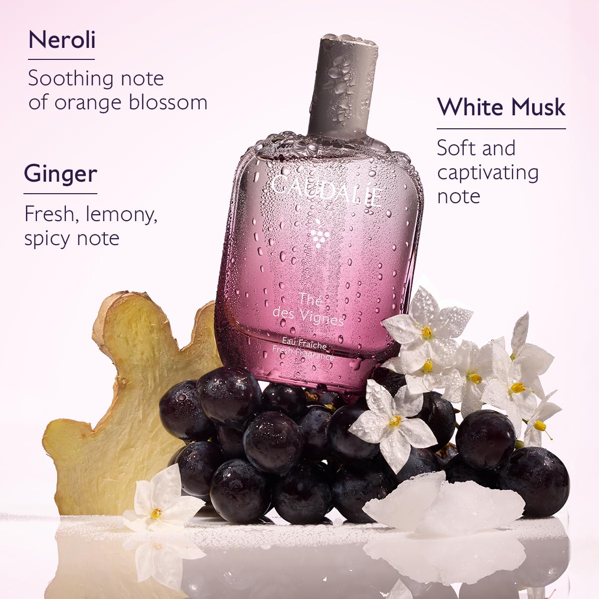 Fresh Fragrance 50 mL X197953