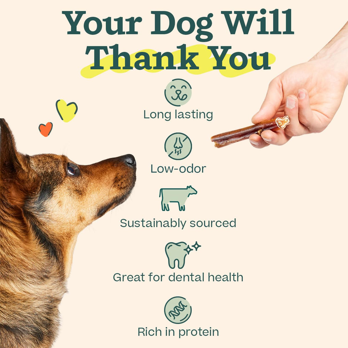 6 Inch 5 Count Dog Chew Treats T54938