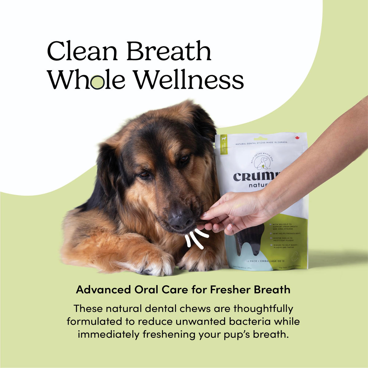 Double Fresh Dental Sticks 9.5oz Y75515
