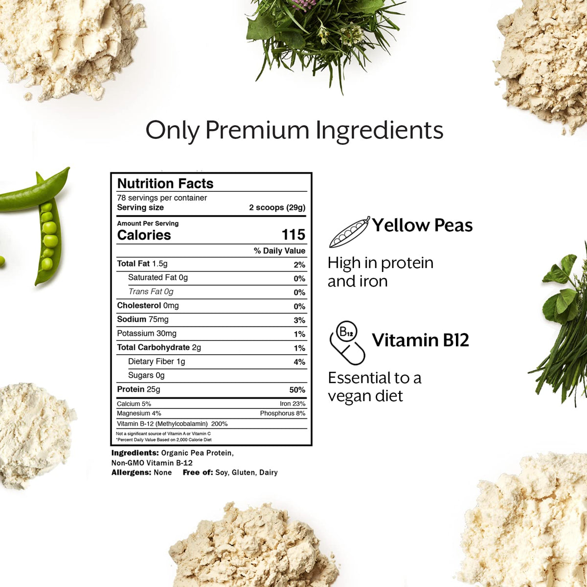 Vegan Protein Powder 5 lb J7426