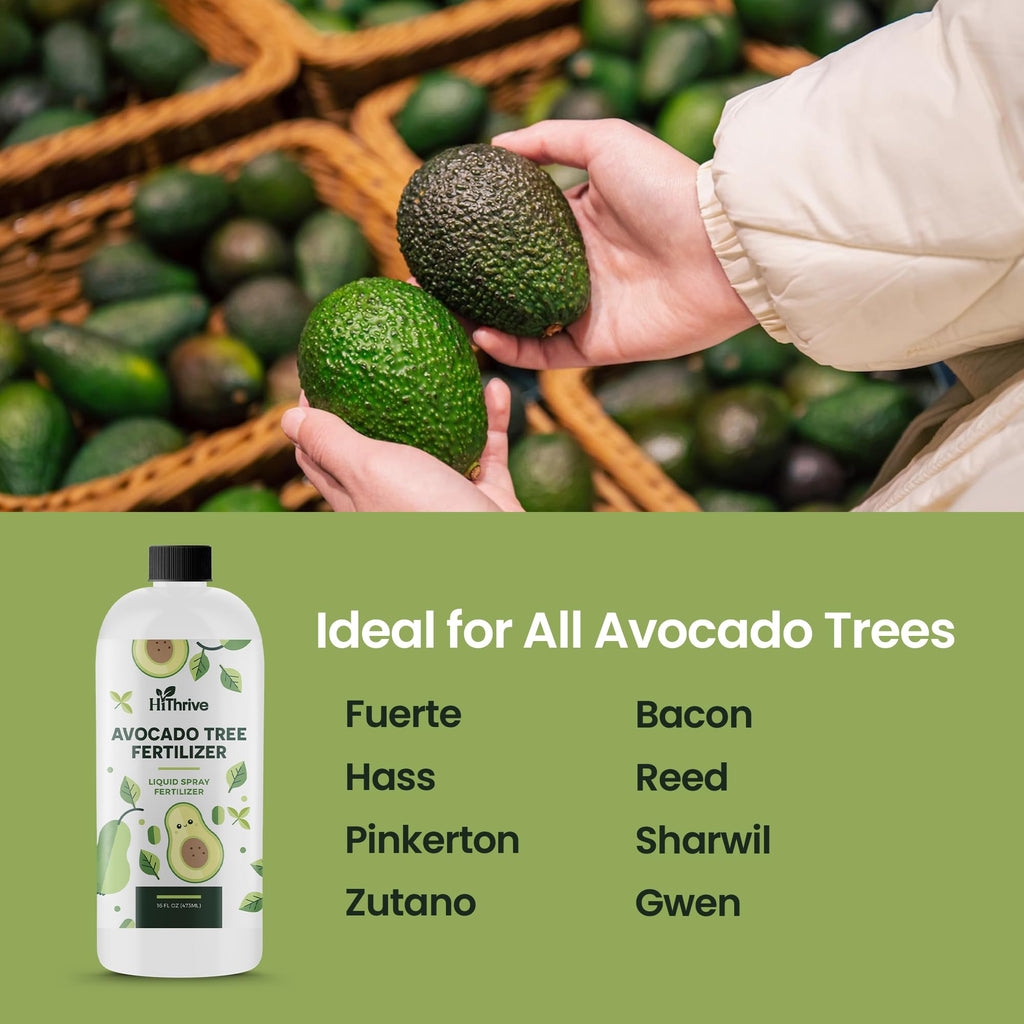 Avocado Fruit Tree Fertilizer 16oz M639299