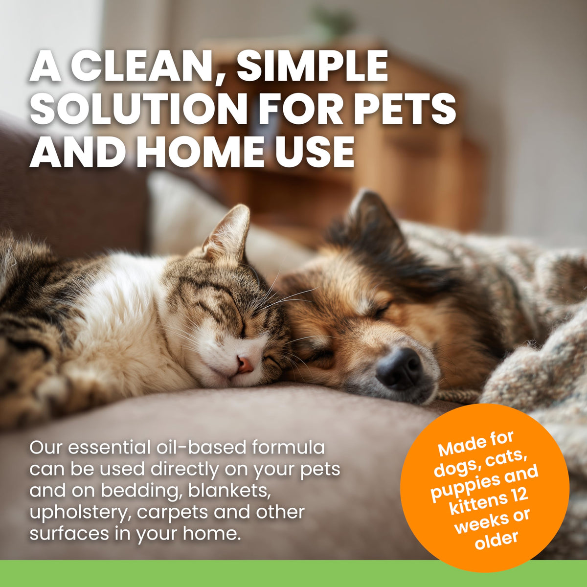 Plant-Based Flea & Tick Spray for Dogs & Cats P6517