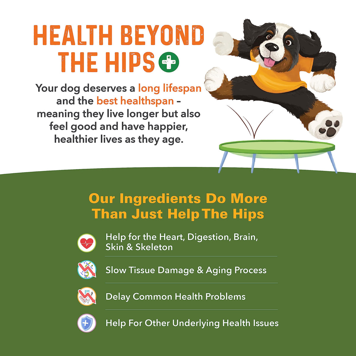 Hip and Joint Supplement for Dogs 90 Ct Soft Chews D16180