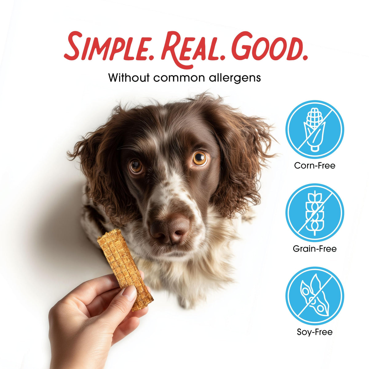 Chicken Jerky Dog Treats 3 lb Bag T521383