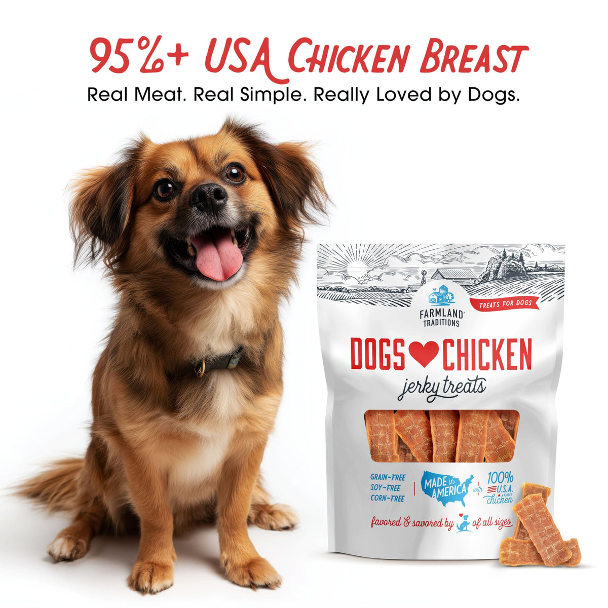 Chicken Jerky Dog Treats 3 lb Bag T521383