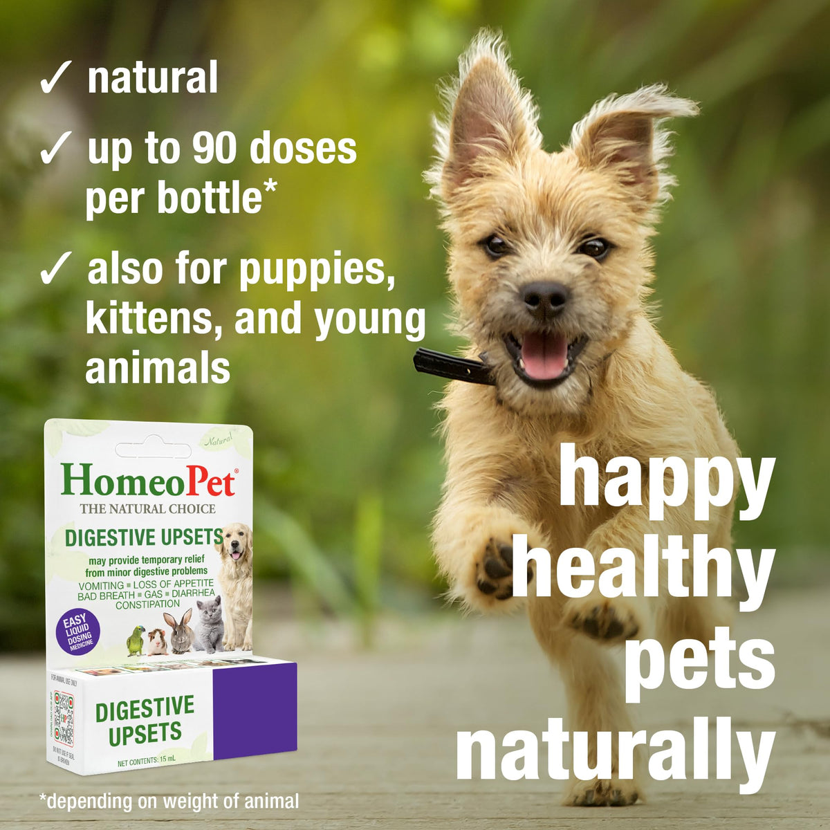 15 Milliliters Digestive Upsets for Dogs, Cats, and Small Pets Q743876