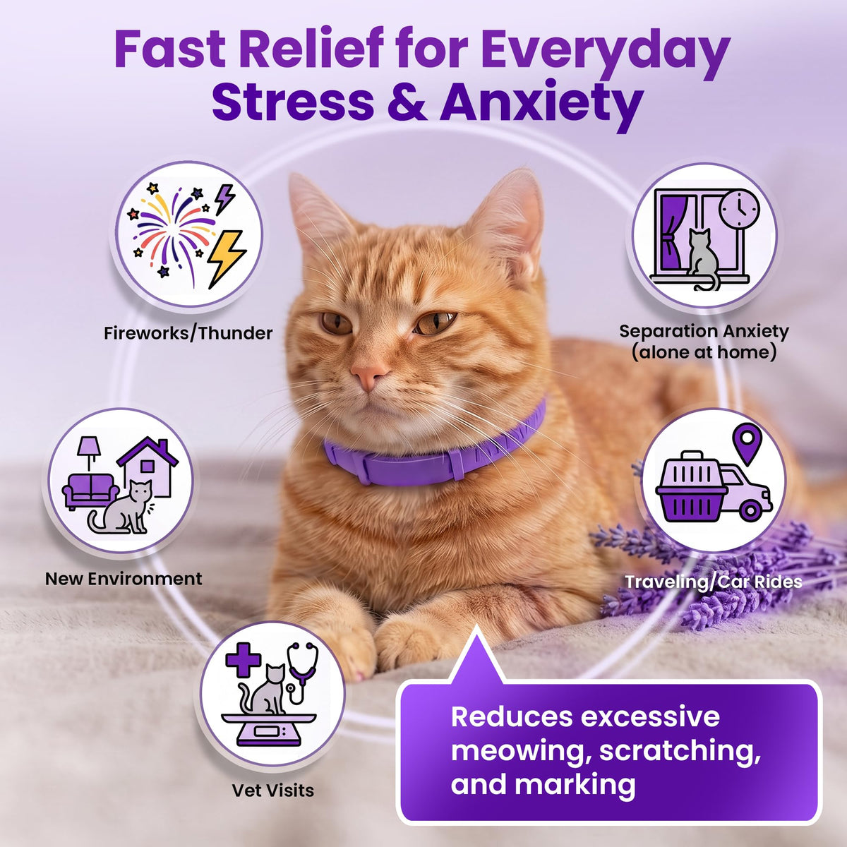 4 Pack Adjustable Calming Collar for Cats K698187