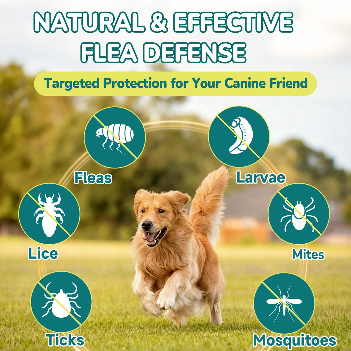 Flea and Tick Prevention for Dogs E4471