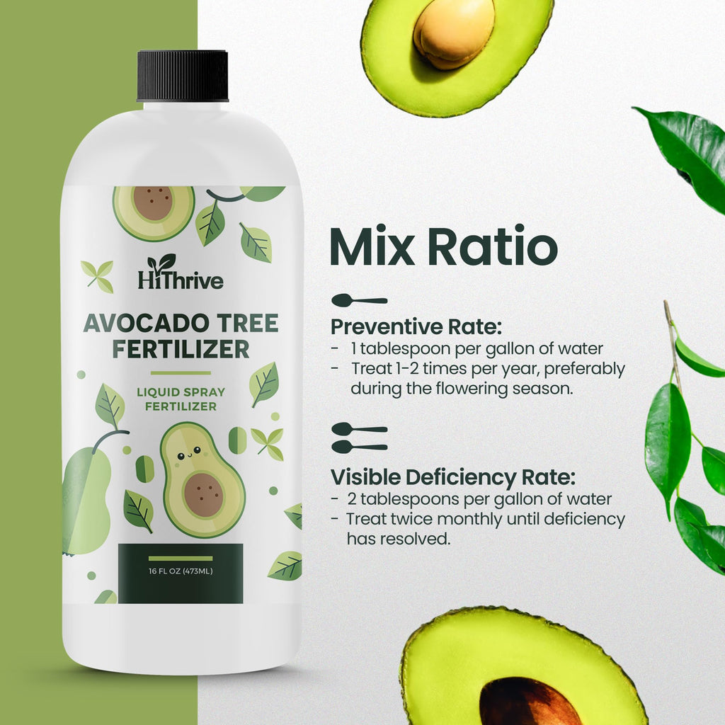 Avocado Fruit Tree Fertilizer 16oz M639299