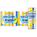 24 Pack Sparkling Water Q59990