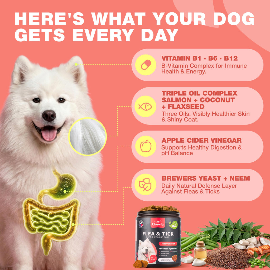 Dog Flea & Tick Chews Z7886