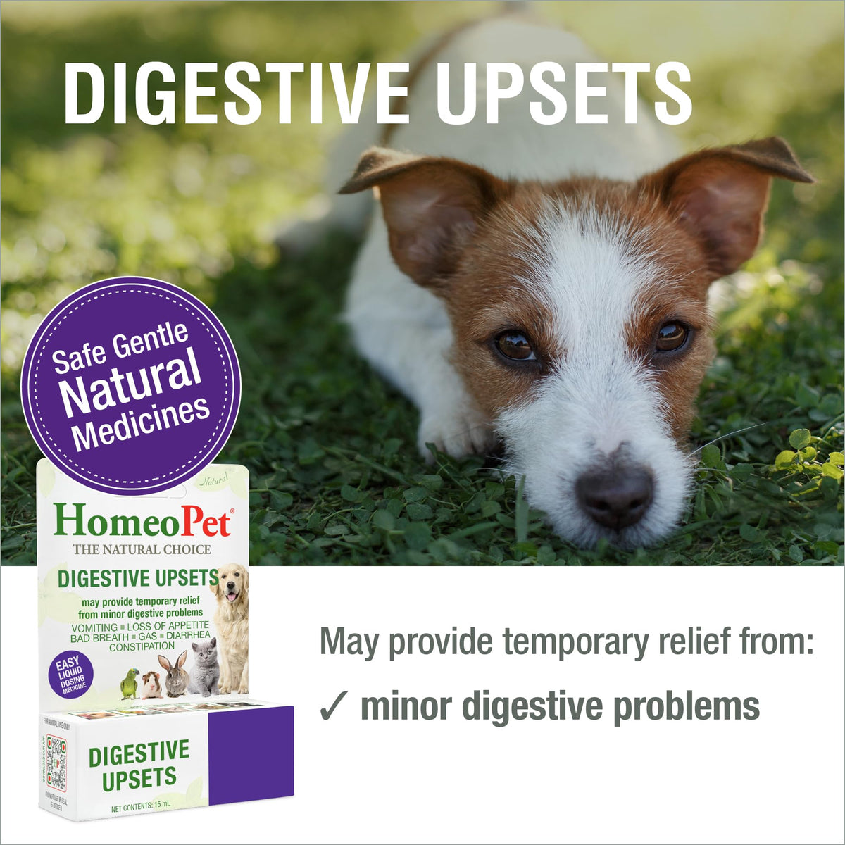 15 Milliliters Digestive Upsets for Dogs, Cats, and Small Pets Q743876