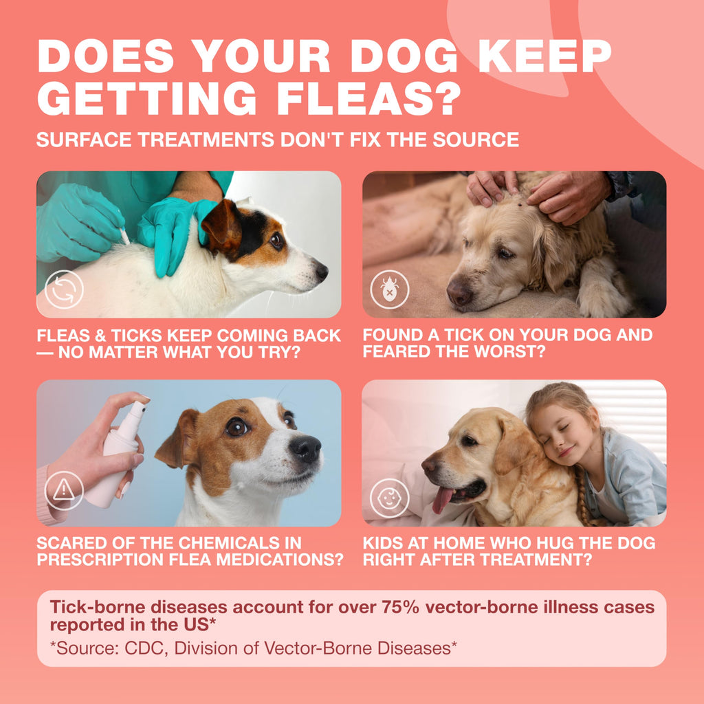 Dog Flea & Tick Chews Z7886