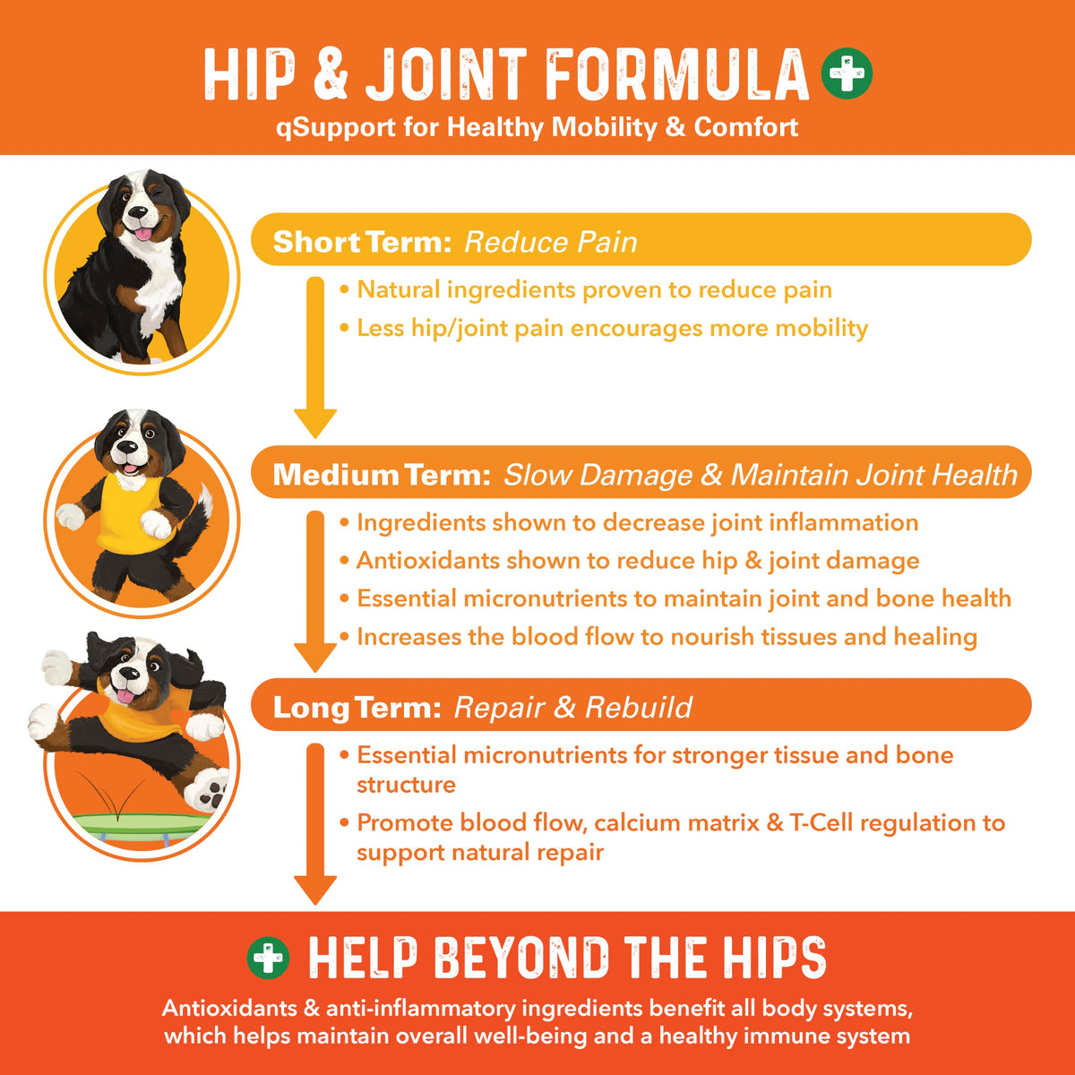 Hip and Joint Supplement for Dogs 90 Ct Soft Chews D16180
